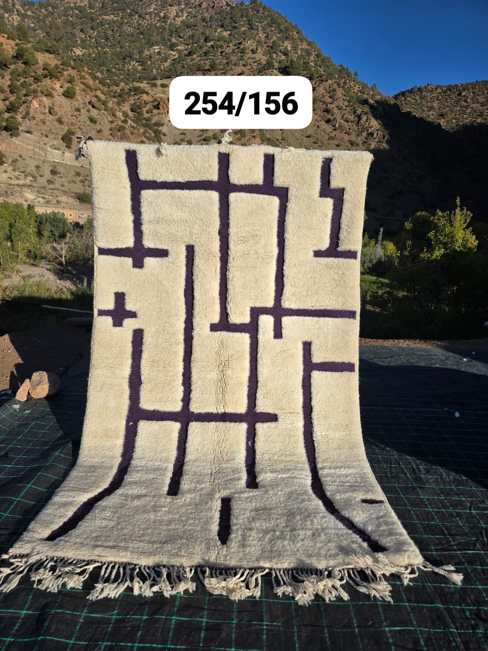 Tapis Beni Ouarain 156 x 274 cm - n°2515