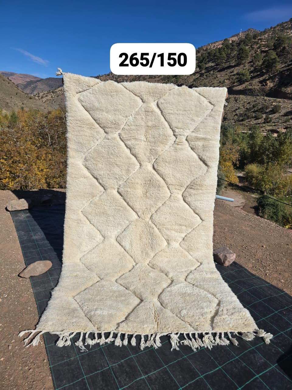 Tapis Beni Ouarain 151 x 280 cm - n°2534