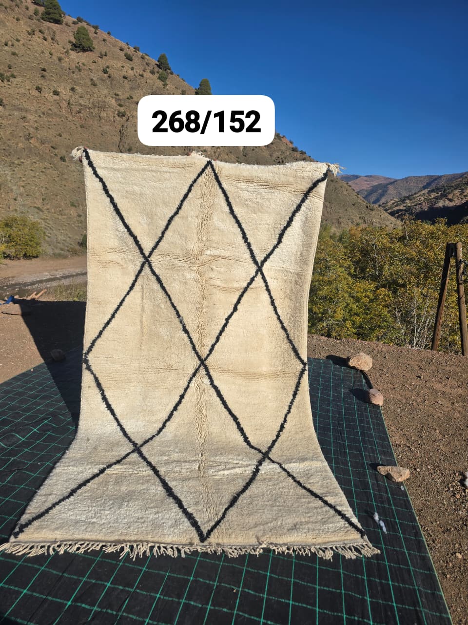 Tapis Beni Ouarain 150 x 280 cm - n°2517