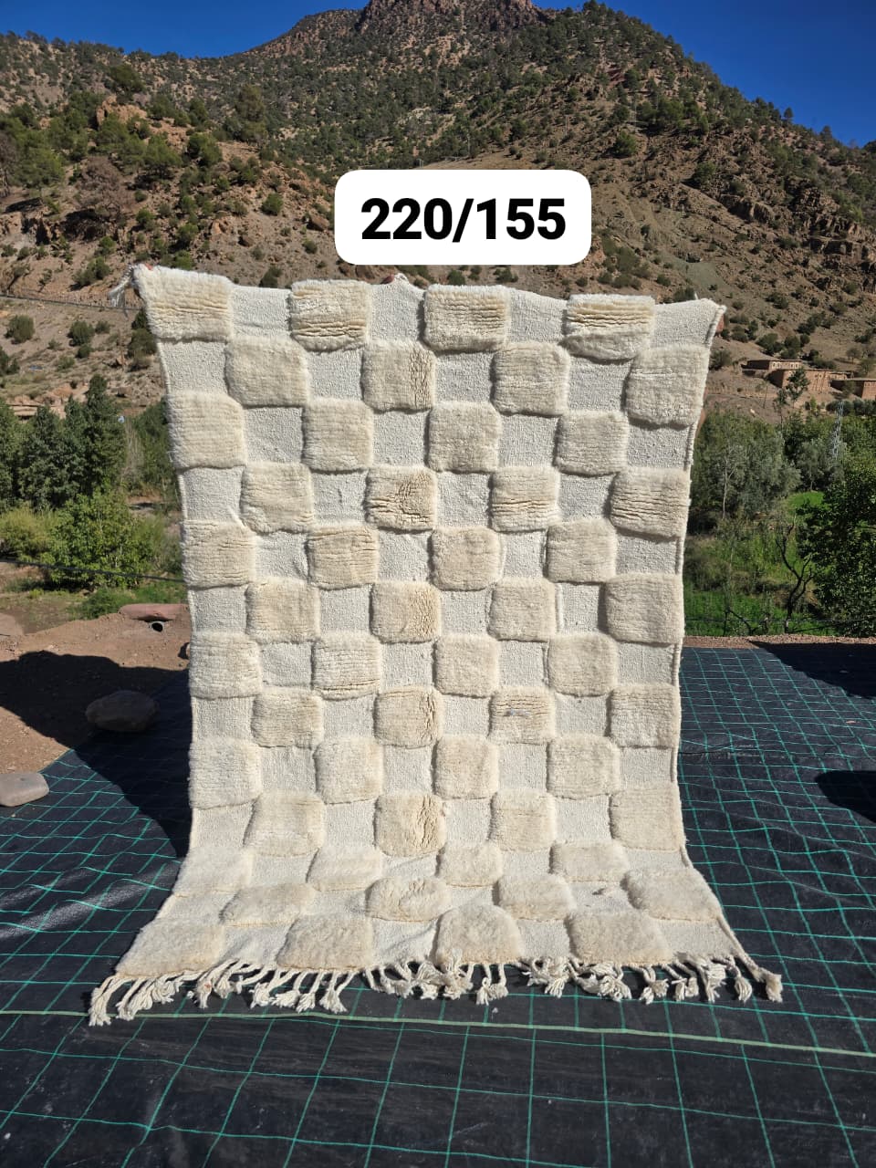 Tapis Beni Ouarain 154 x 240 cm - n°2527