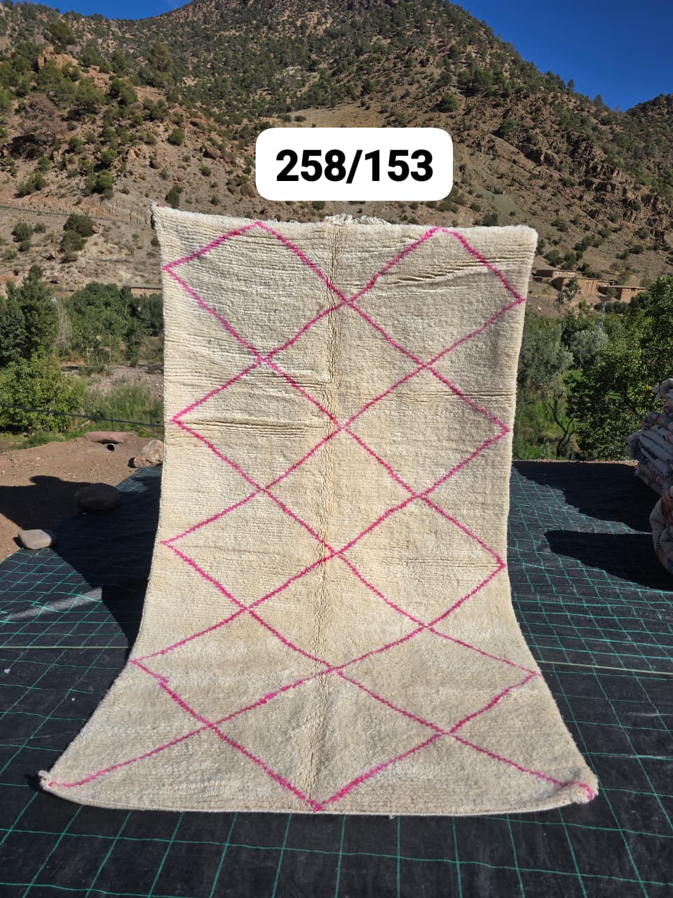 Tapis Beni Ouarain 153 x 263 cm - n°2500