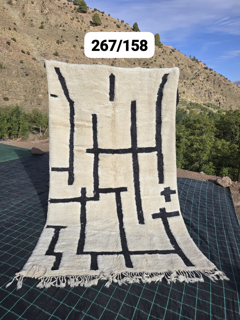 Tapis Beni Ouarain 159 x 285 cm - n°2499