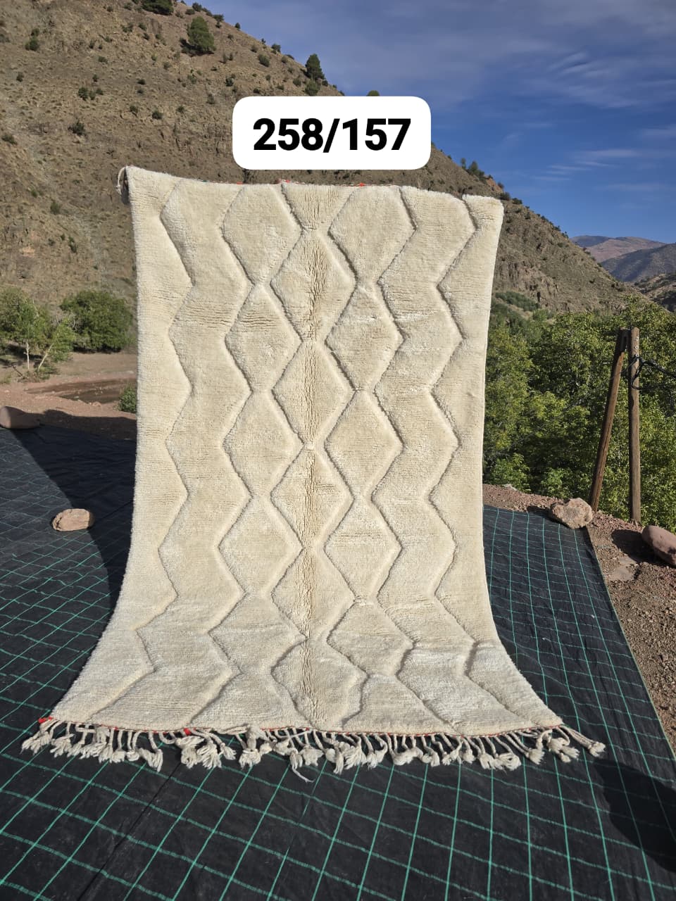 Tapis Beni Ouarain 157 x 283 cm - n°2494