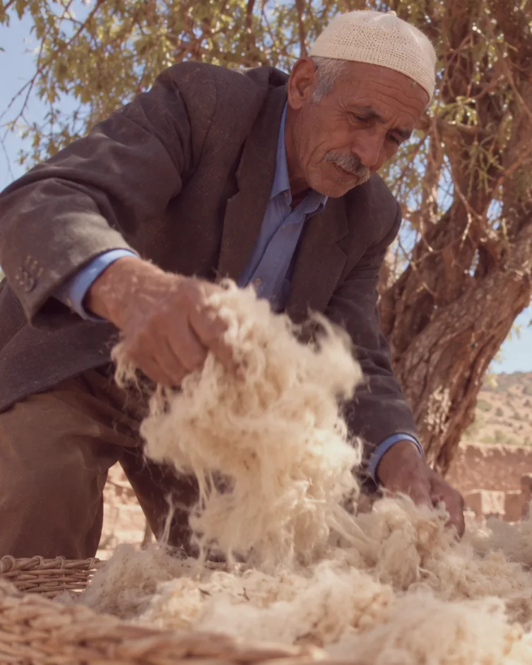 Un artisan trie à la main de la laine de mouton brute au-dessus d’un panier