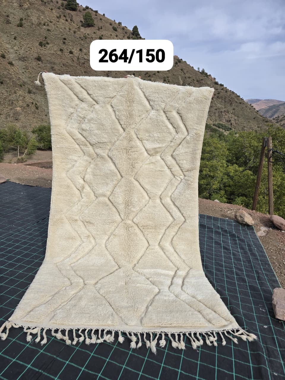 Tapis Beni Ouarain 150 x 287 cm - n°2519