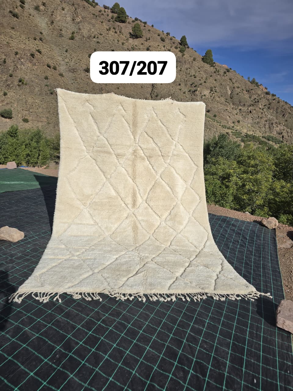 Tapis Beni Ouarain 207 x 320 cm - n°2496