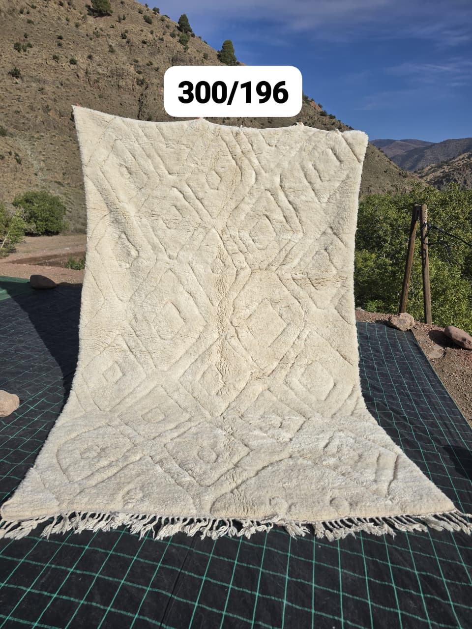 Tapis Beni Ouarain 196 x 320 cm - n°2520