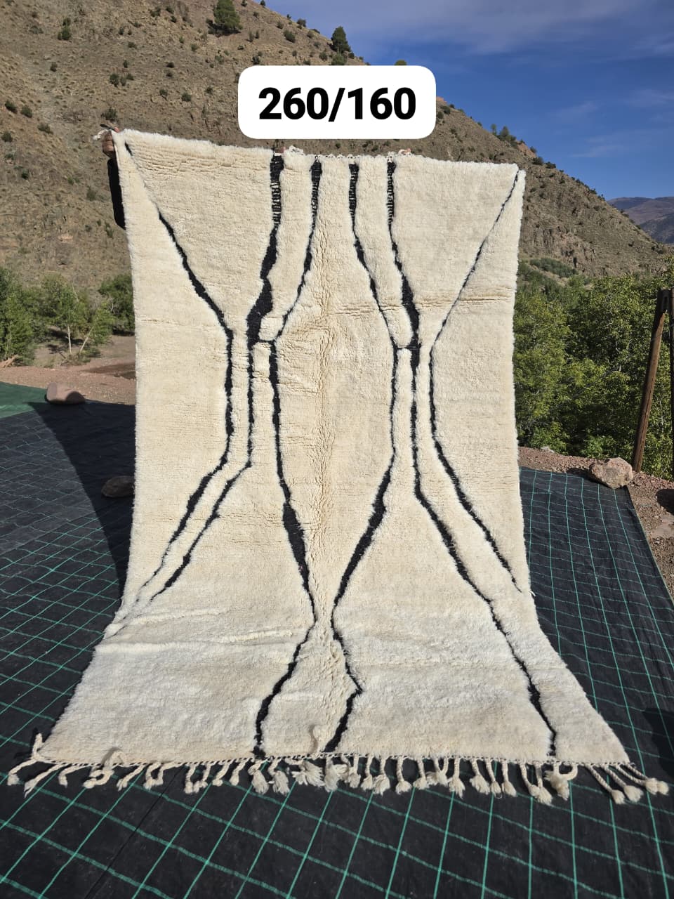 Tapis Beni Ouarain 160 x 270 cm - n°2528